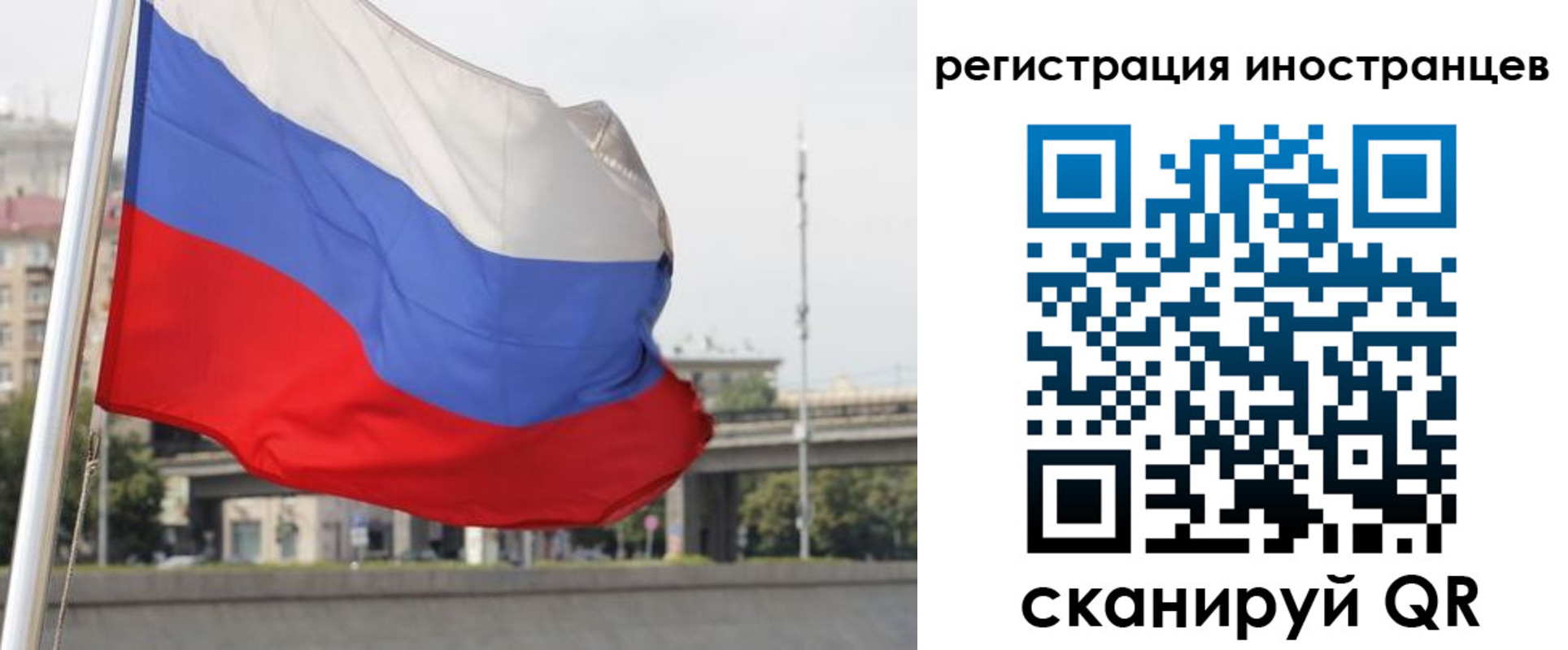 прописка поиск в Перми